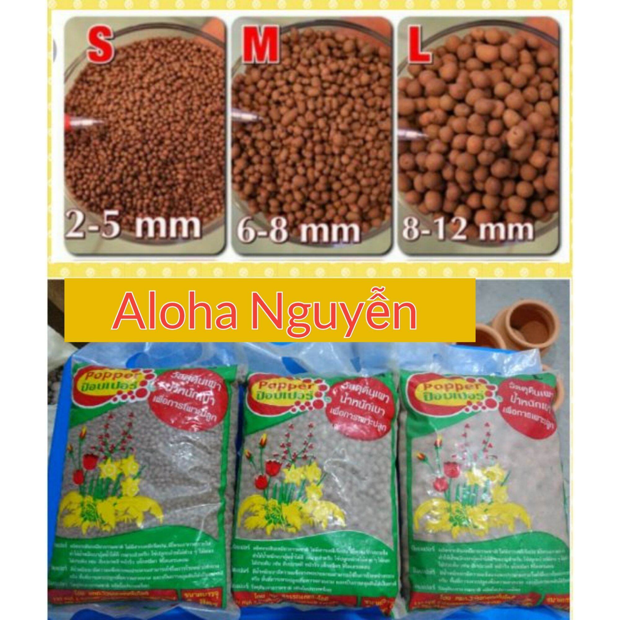 Hạt đất nung thái .có thể trồng tất cả loại cây .sen đá .xương rồng vvv.