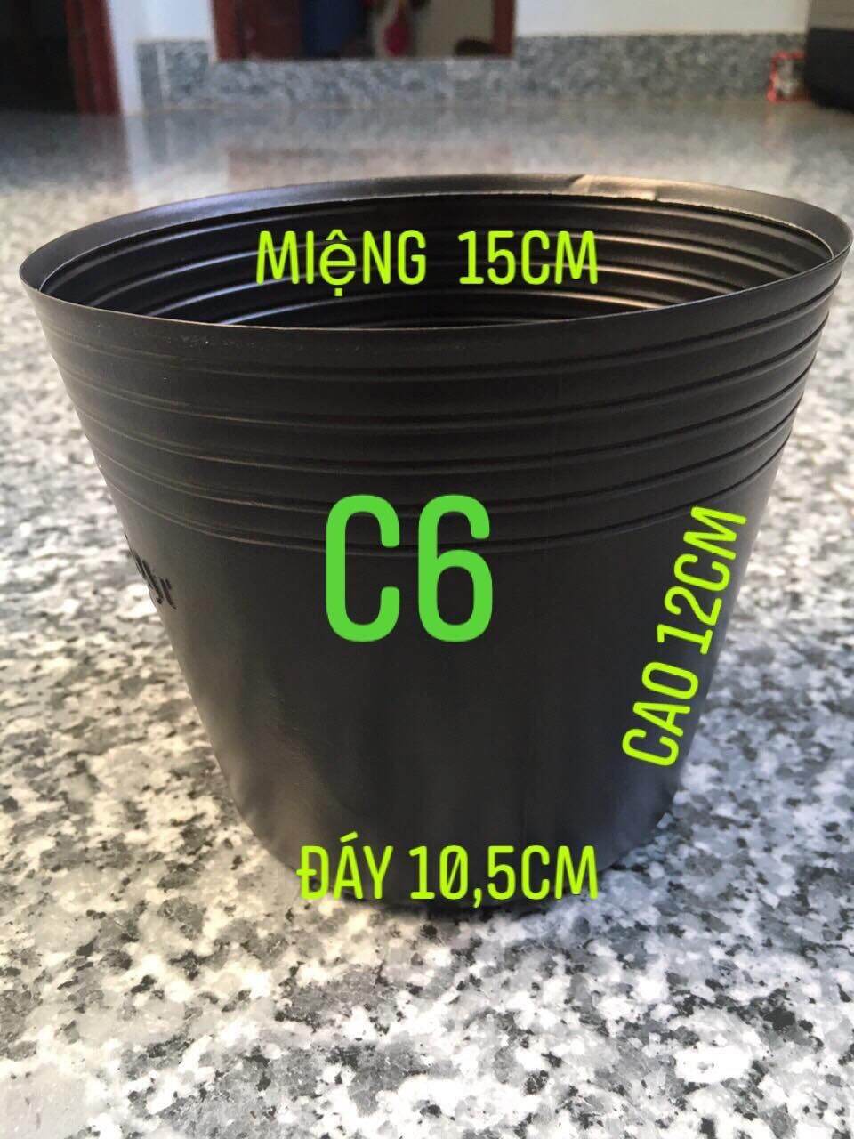 Chậu nhựa C6 trồng cây