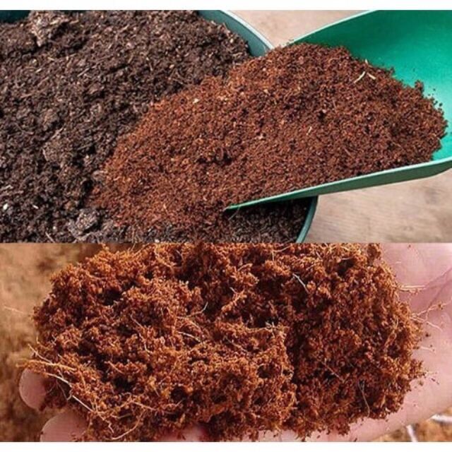 Mụn sơ dừa giá thể trồng cây - 500gr