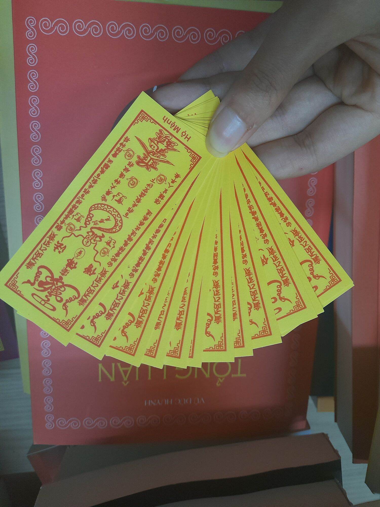 Phù hộ mệnh
