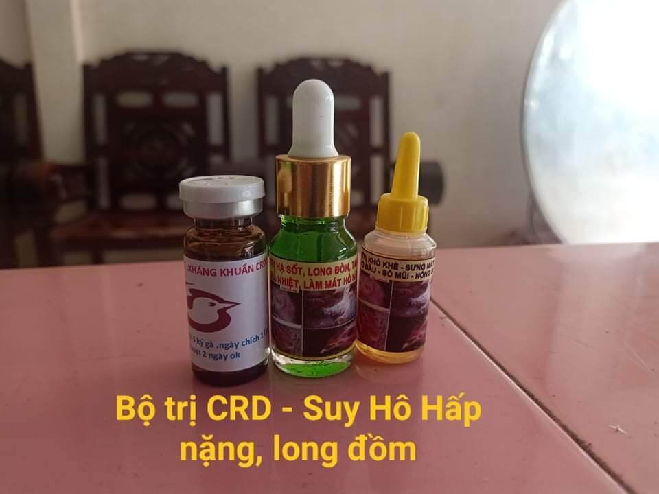 SUY HÔ HẤP, CRD, ORT