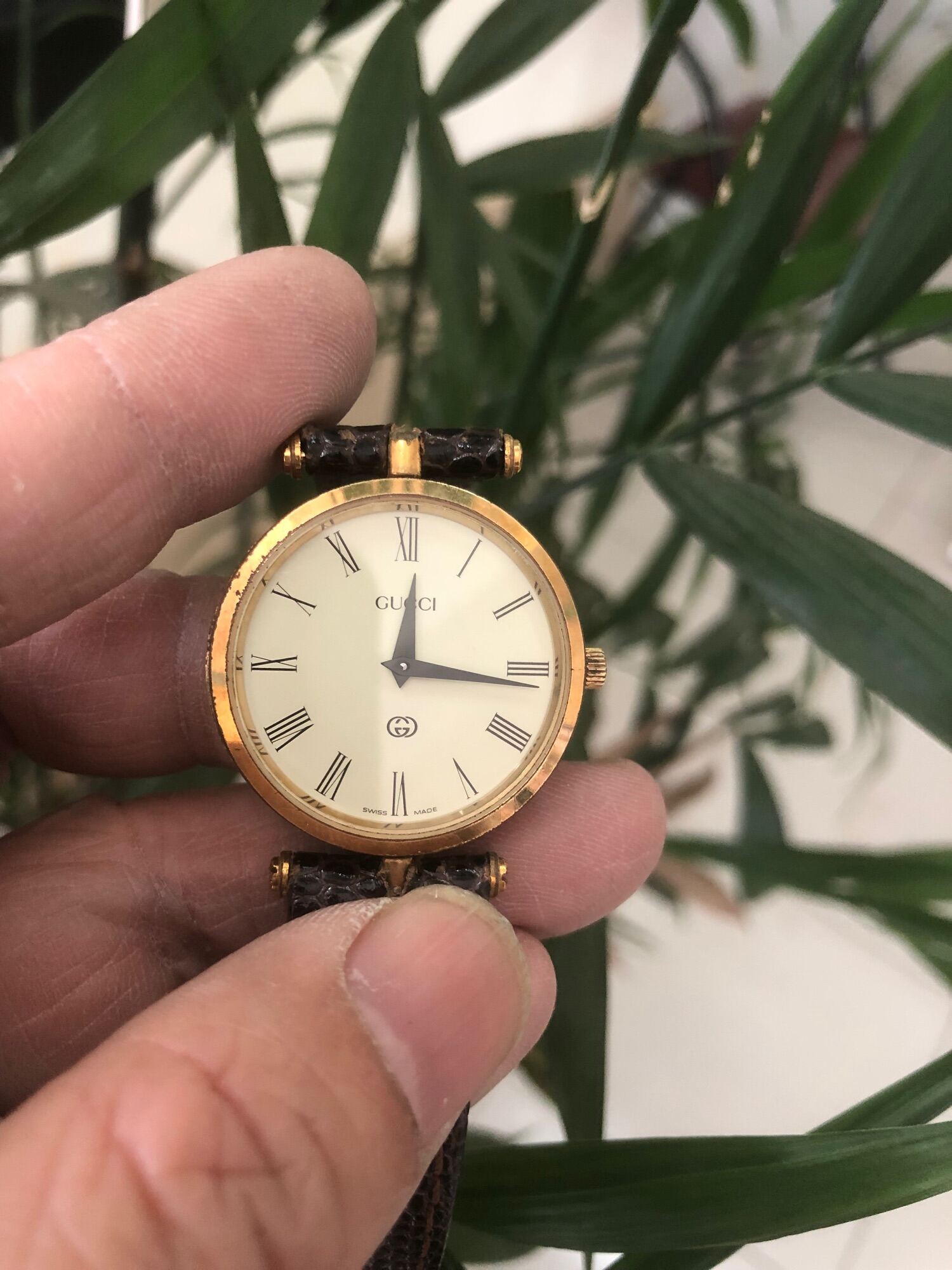 Đồng hồ nữ Gucci hàng auth Thụy sĩ size 30mm thumbnail