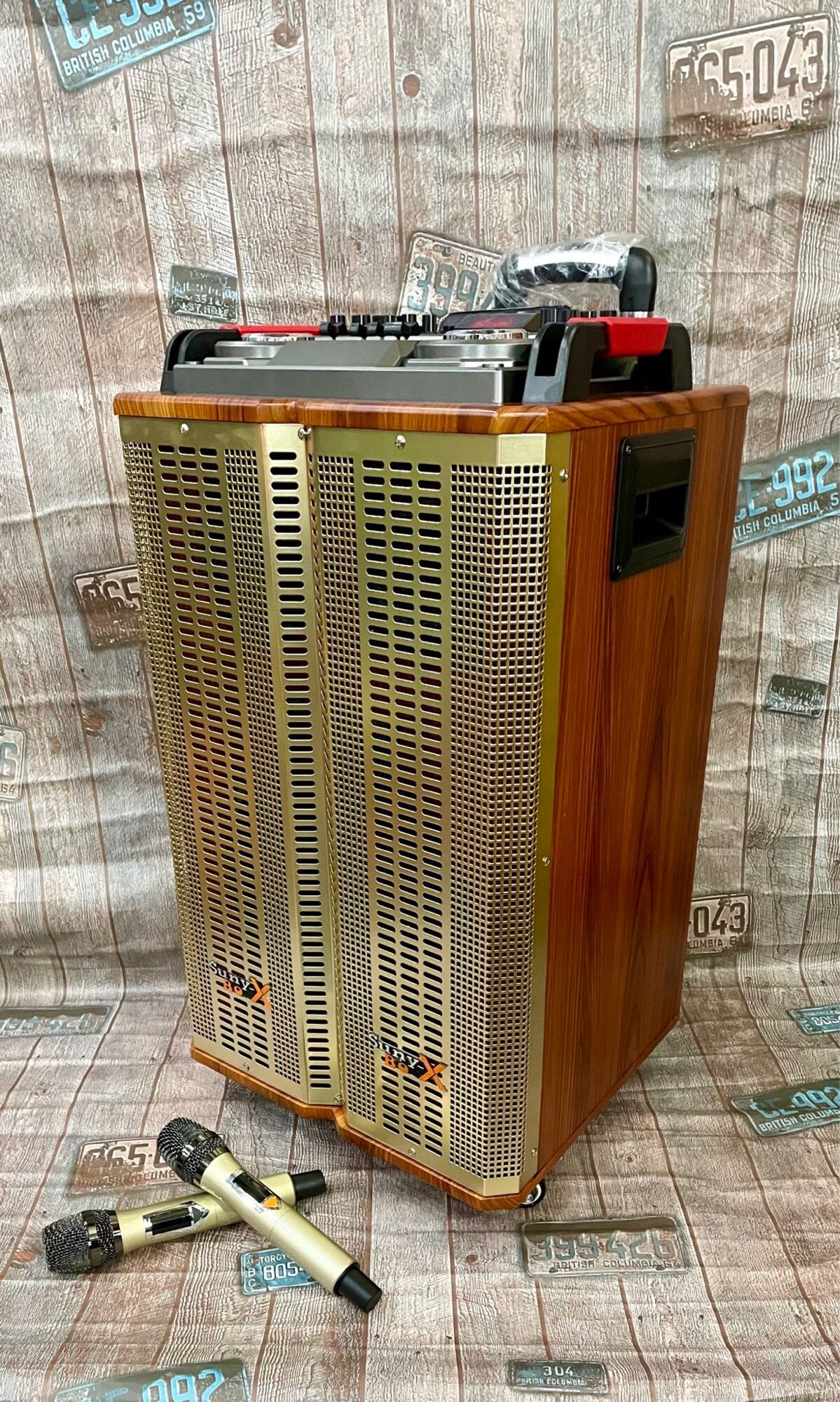 Loa karaoke - loa kéo - loa kẹo kéo loa bluetooth bass 30 cao cấp