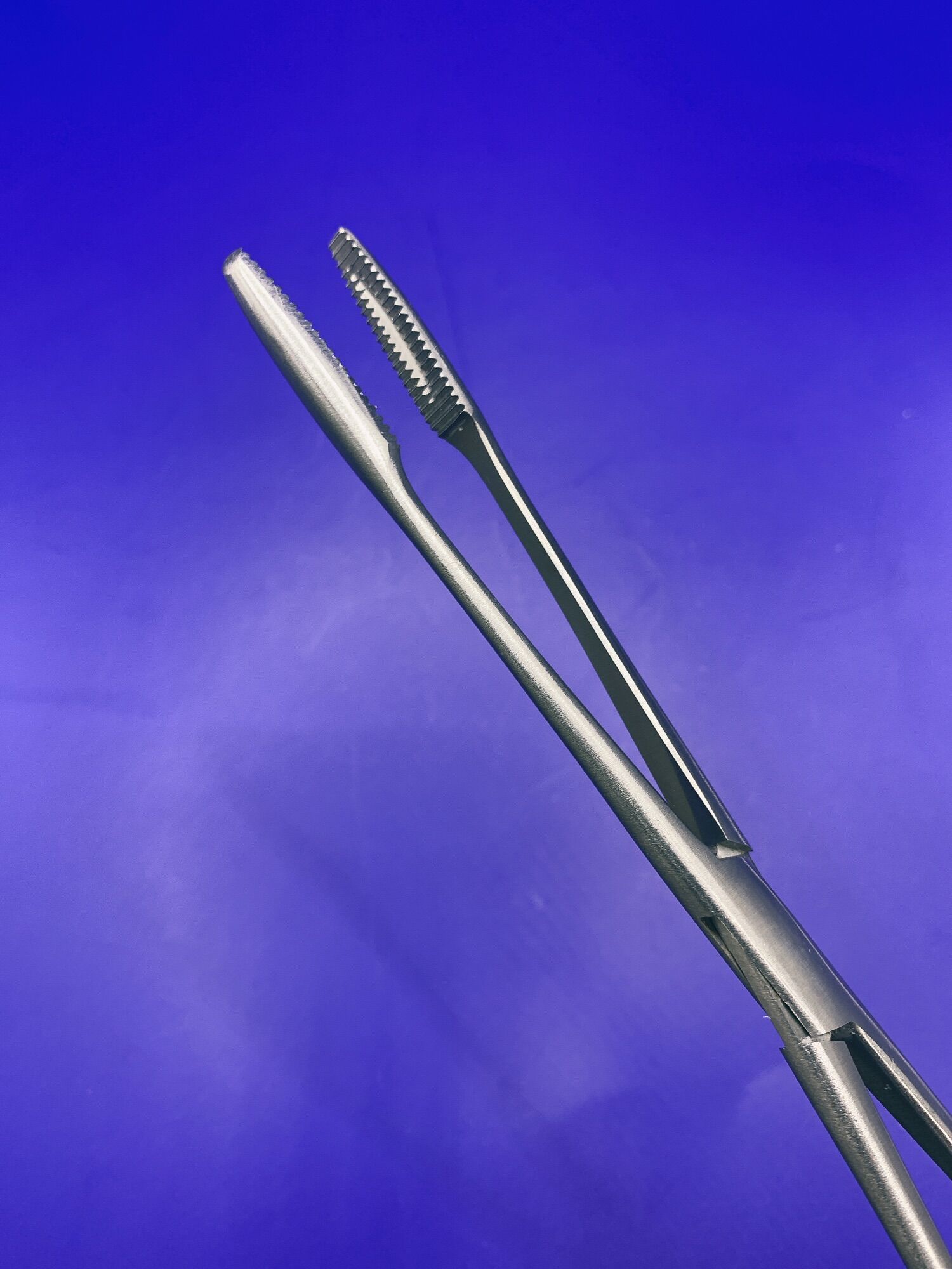 Panh kẹp bông sản khoa 25cm( Panh kẹp đầu rắn )
