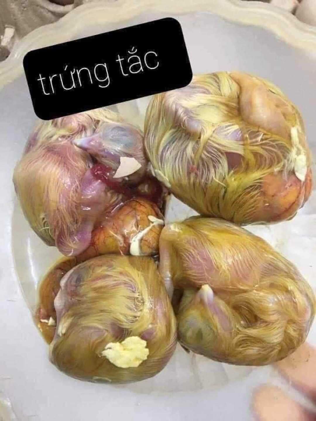 10 trứng hột gà xác ( trứng tắc)