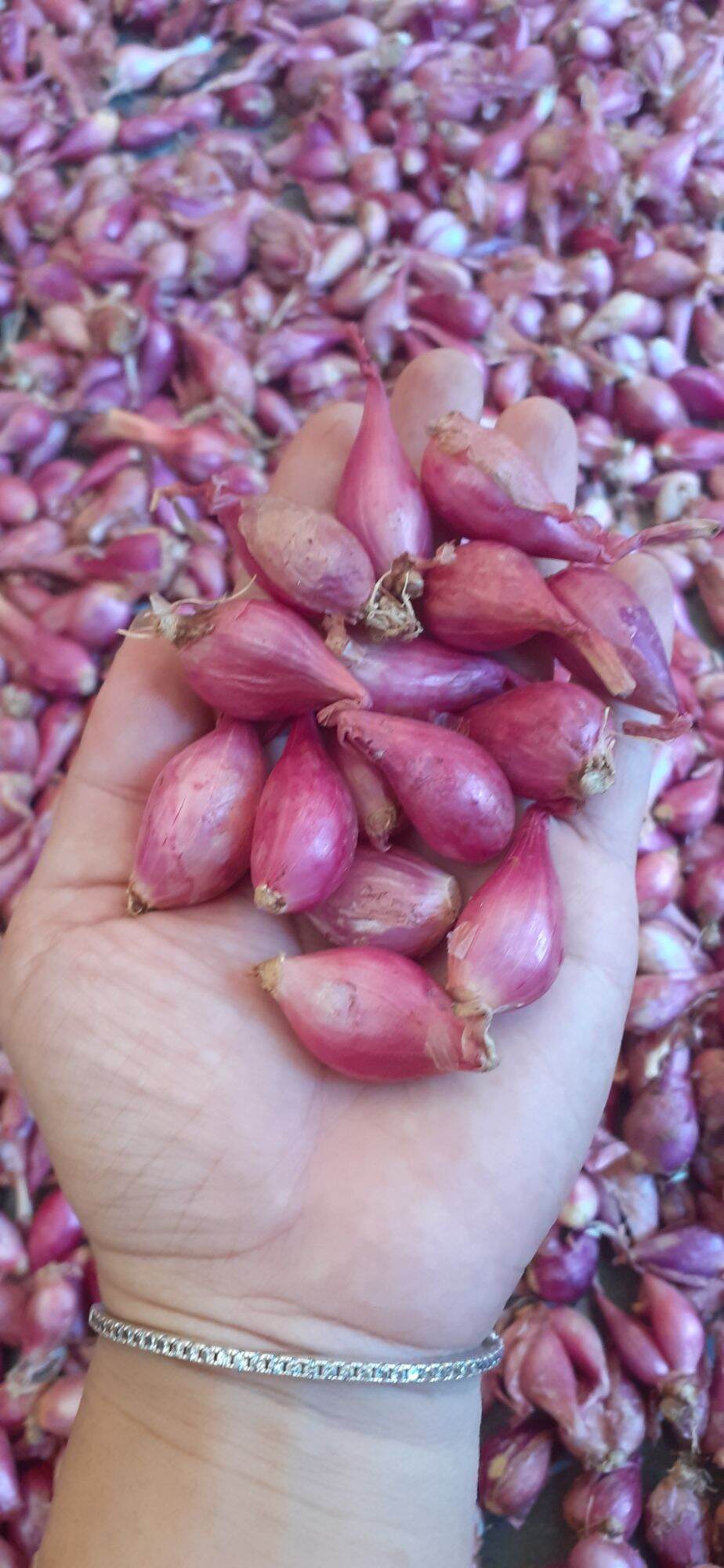1kg Hành tím Lý Sơn size Trung 🌼