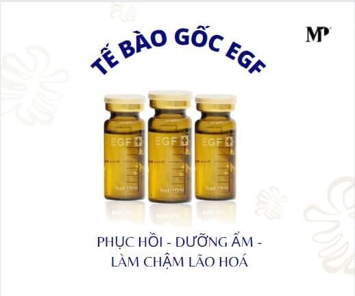 tế bào gốc egf luverio