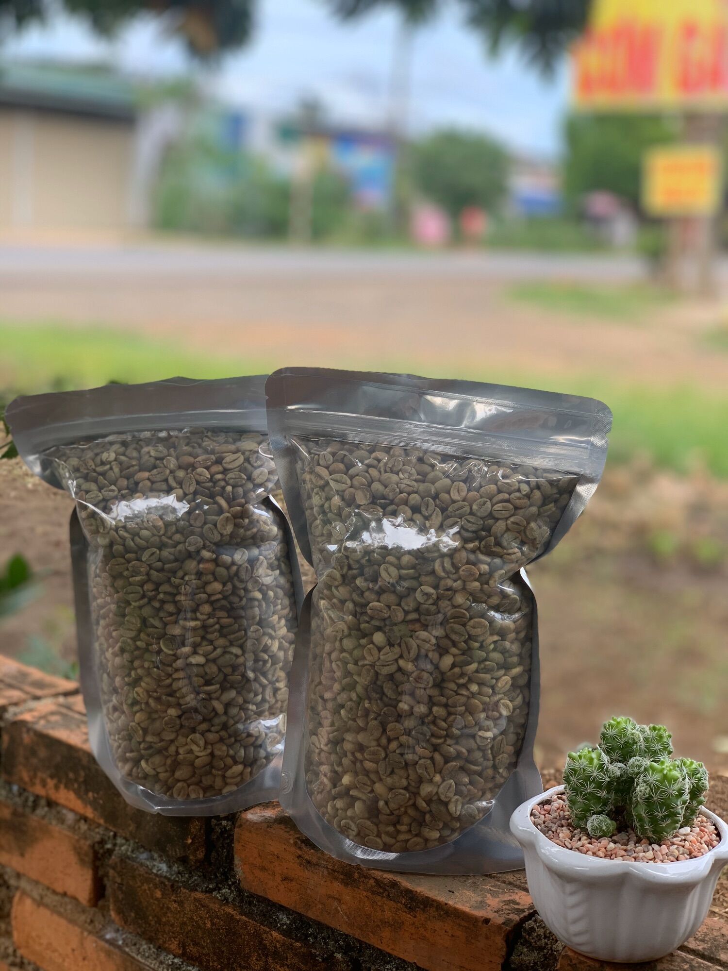1Kg_ Nhân Cà phê Culi hoặc Robusta
