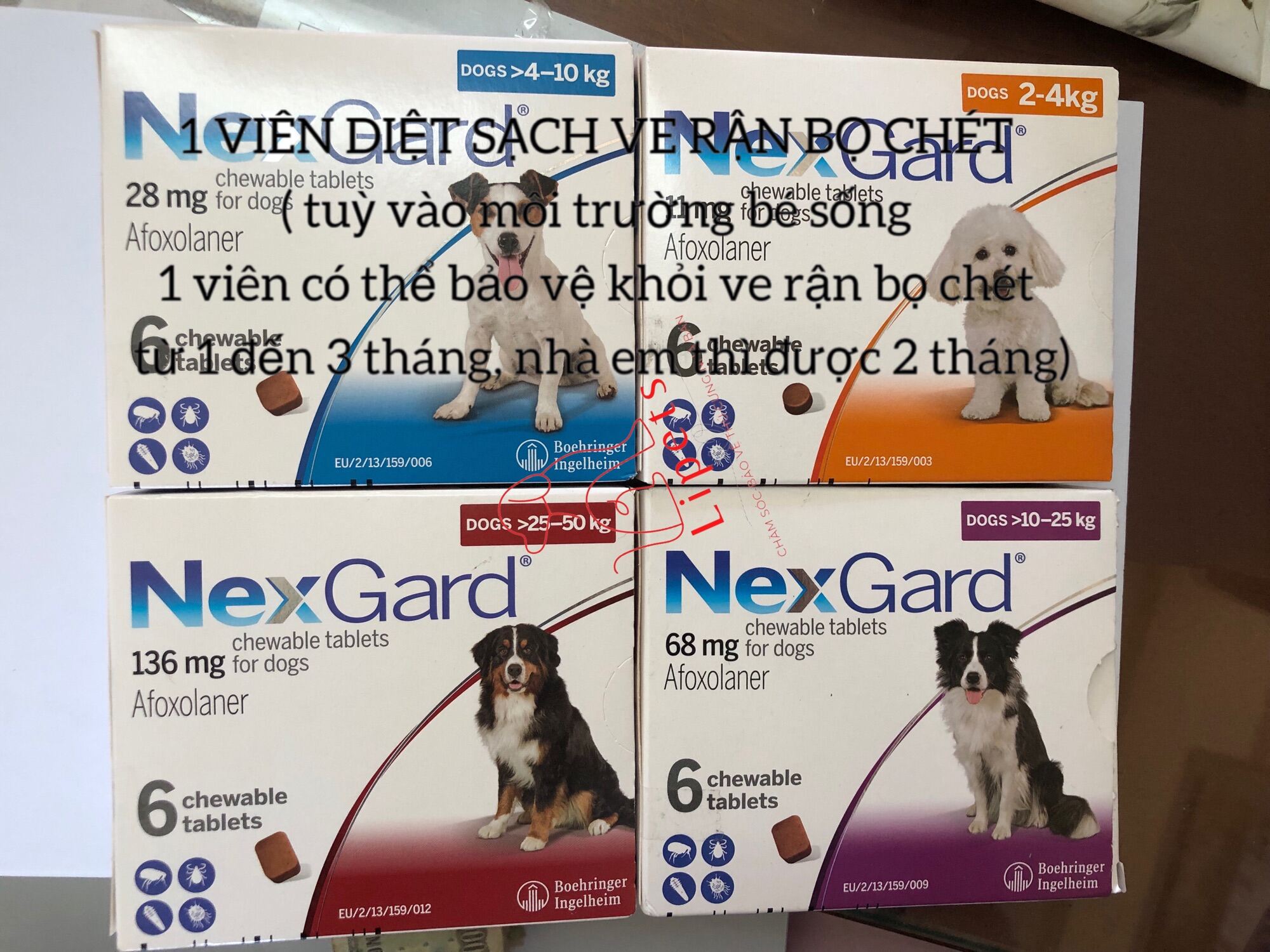 NEXGARD THUỐC UỐNG phòng và trị ve, bọ chét, trị ghẻ trên chó  1 viên