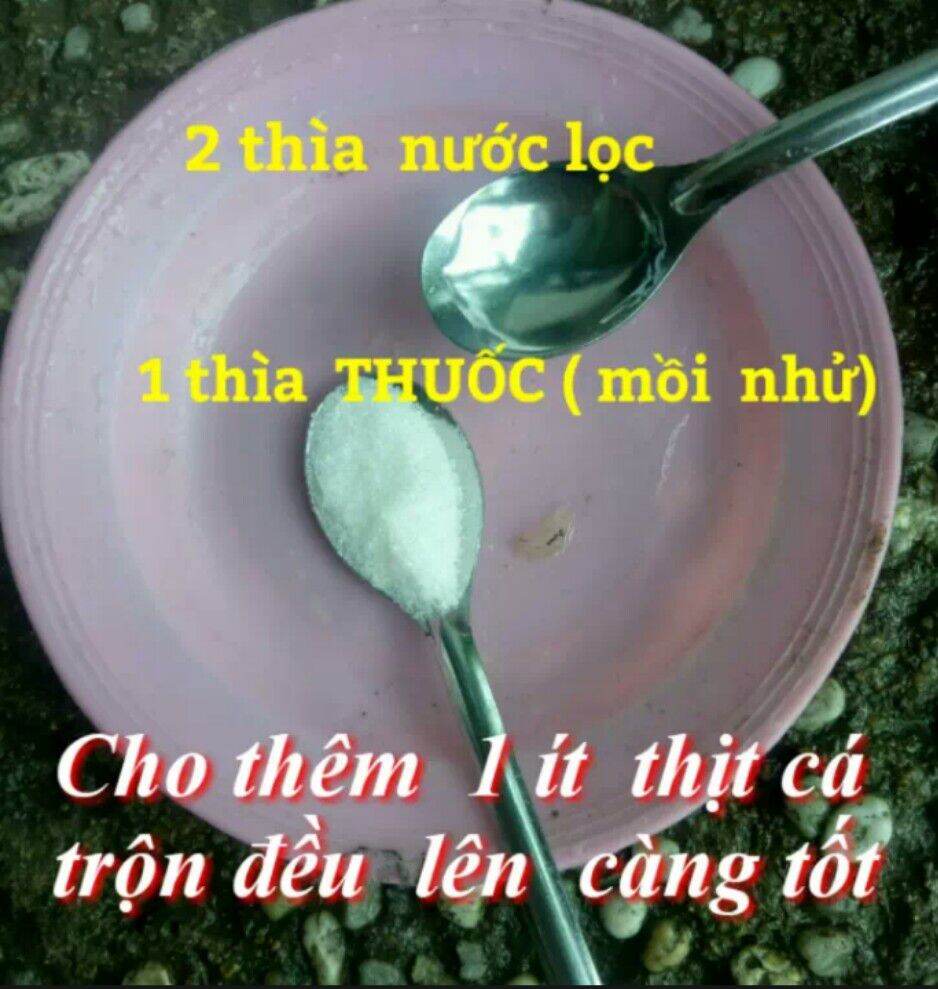 THUỐC DIỆT RUỒI gói 50gr -100gr