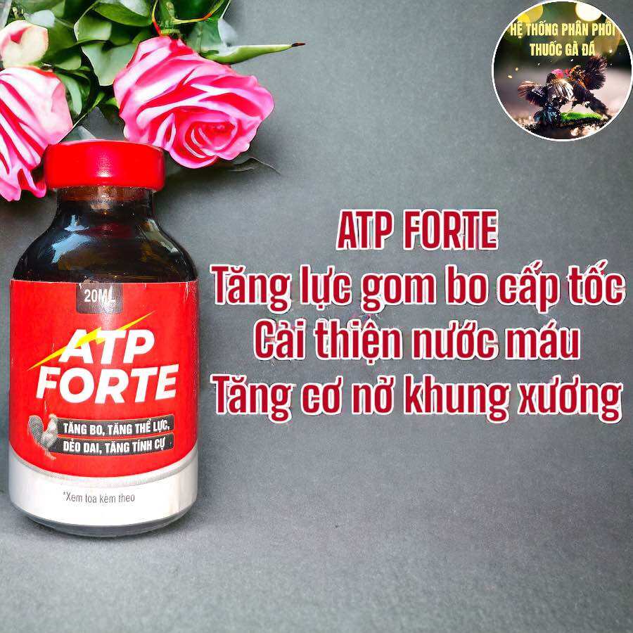 Thuốc gà đá atp forte tăng bo tăng lực cấp tốc, gà mau cự, mồng tích đỏ nở khung xương chai 20 ml