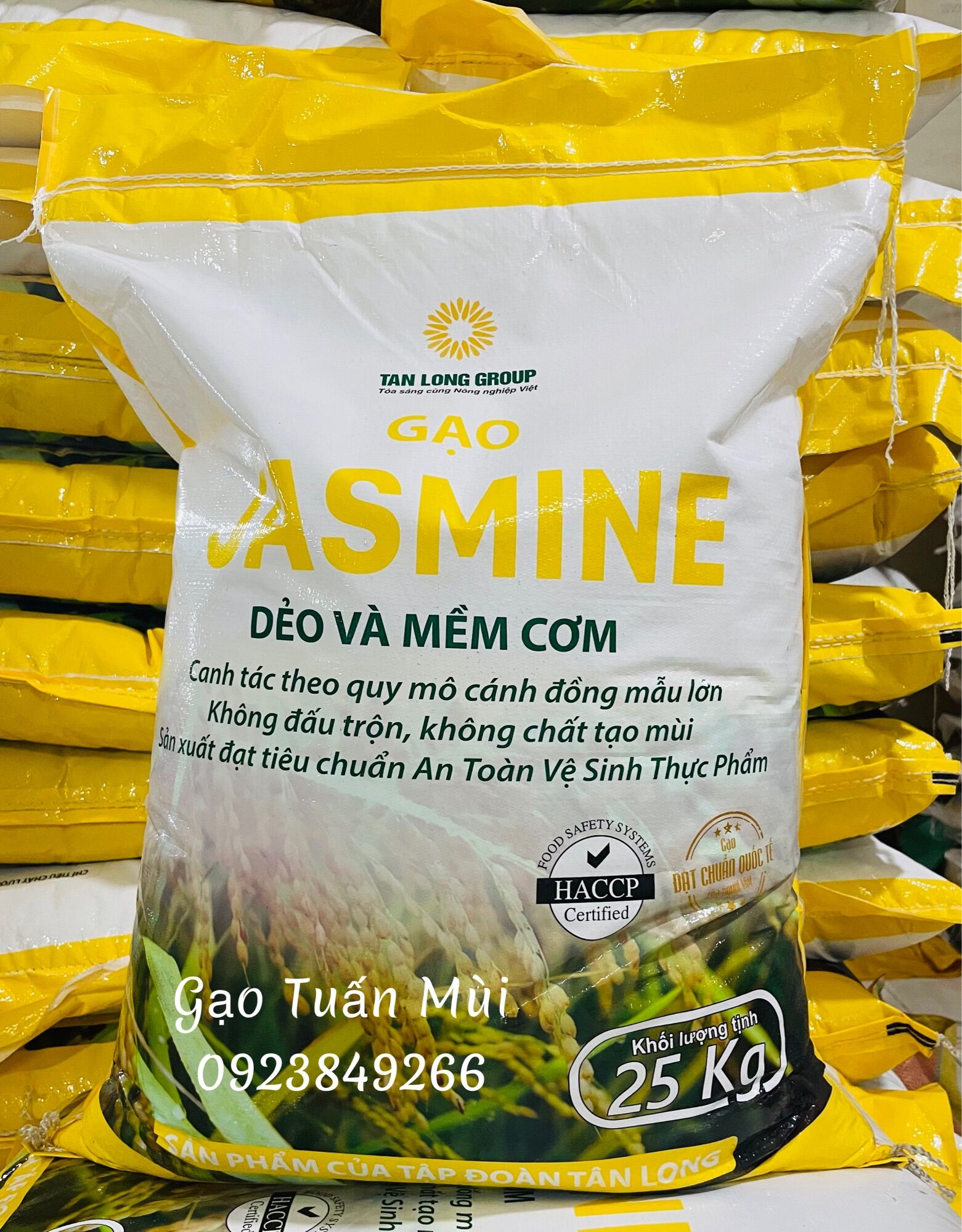 Gạo Thơm Thái (Túi 5 Ky)
