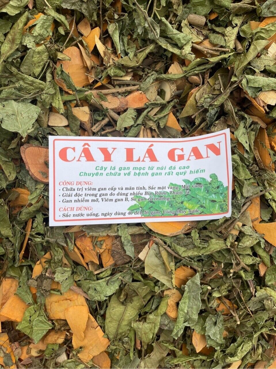 Cây lá gan gói 1kg tốt cho gan