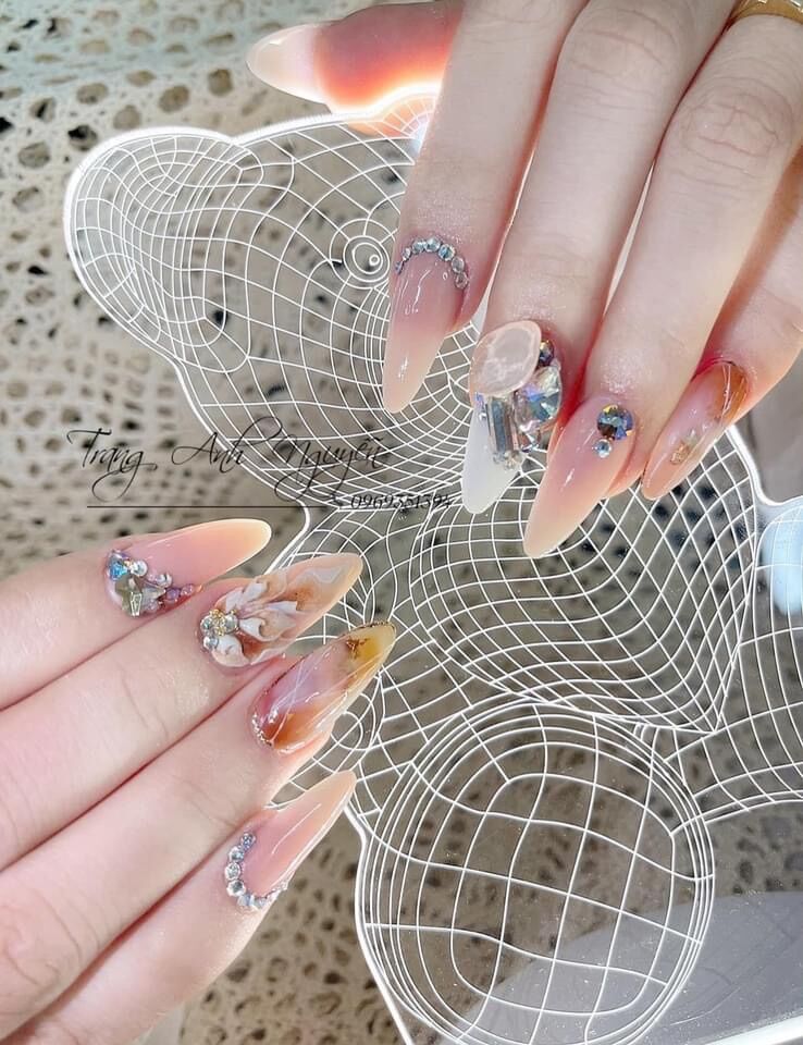 Đèn gấu chụp ảnh