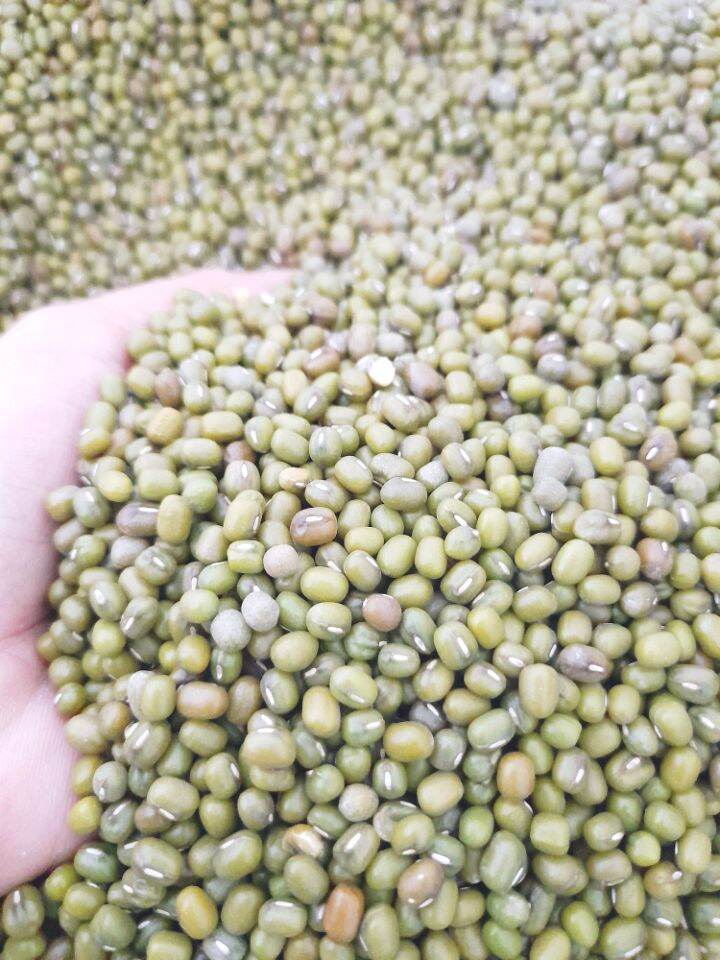 Đậu xanh nguyên hạt 1kg