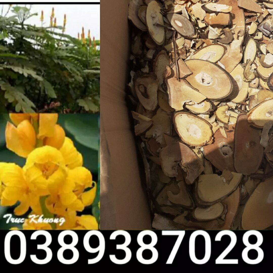 Thân rễ cây muồng trâu thái mỏng,1kg