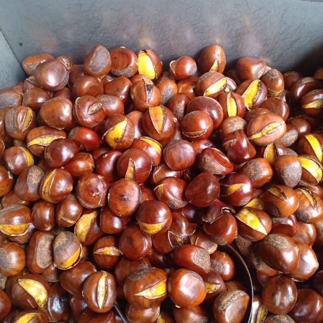 Hạt dẻ Tây Bắc-500gr