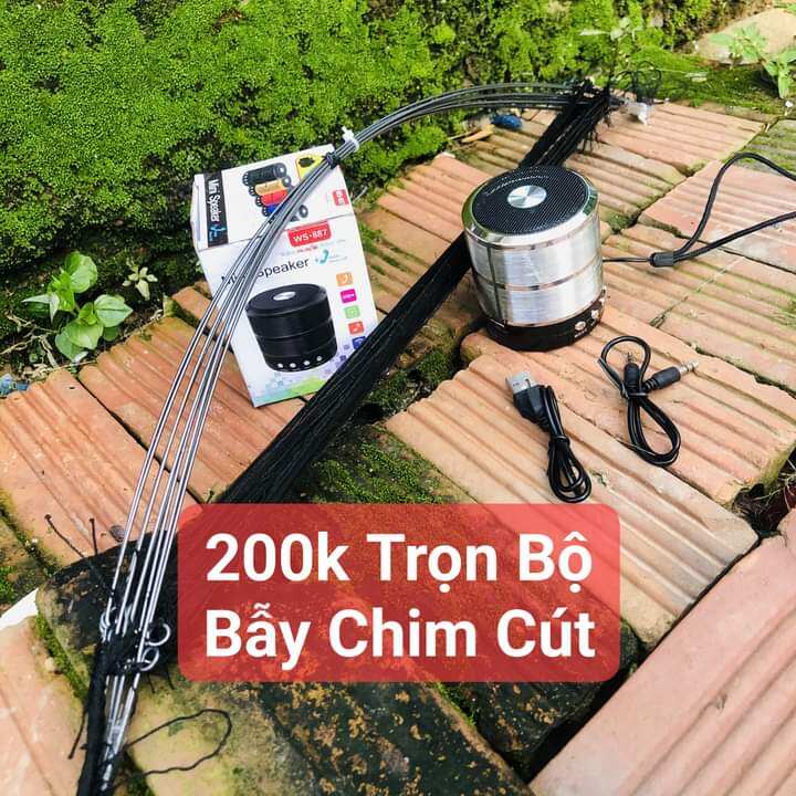 Combo 2 món loa + 10 cung bẫy cút