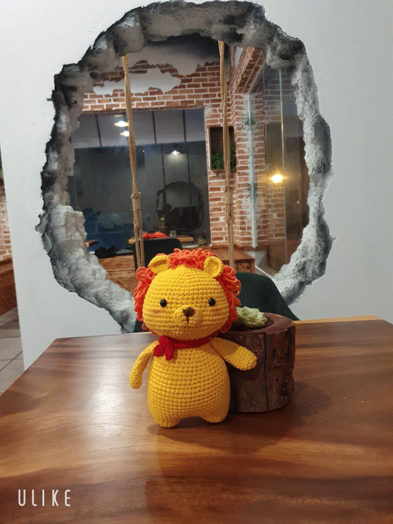 Sư tử móc len - Lion