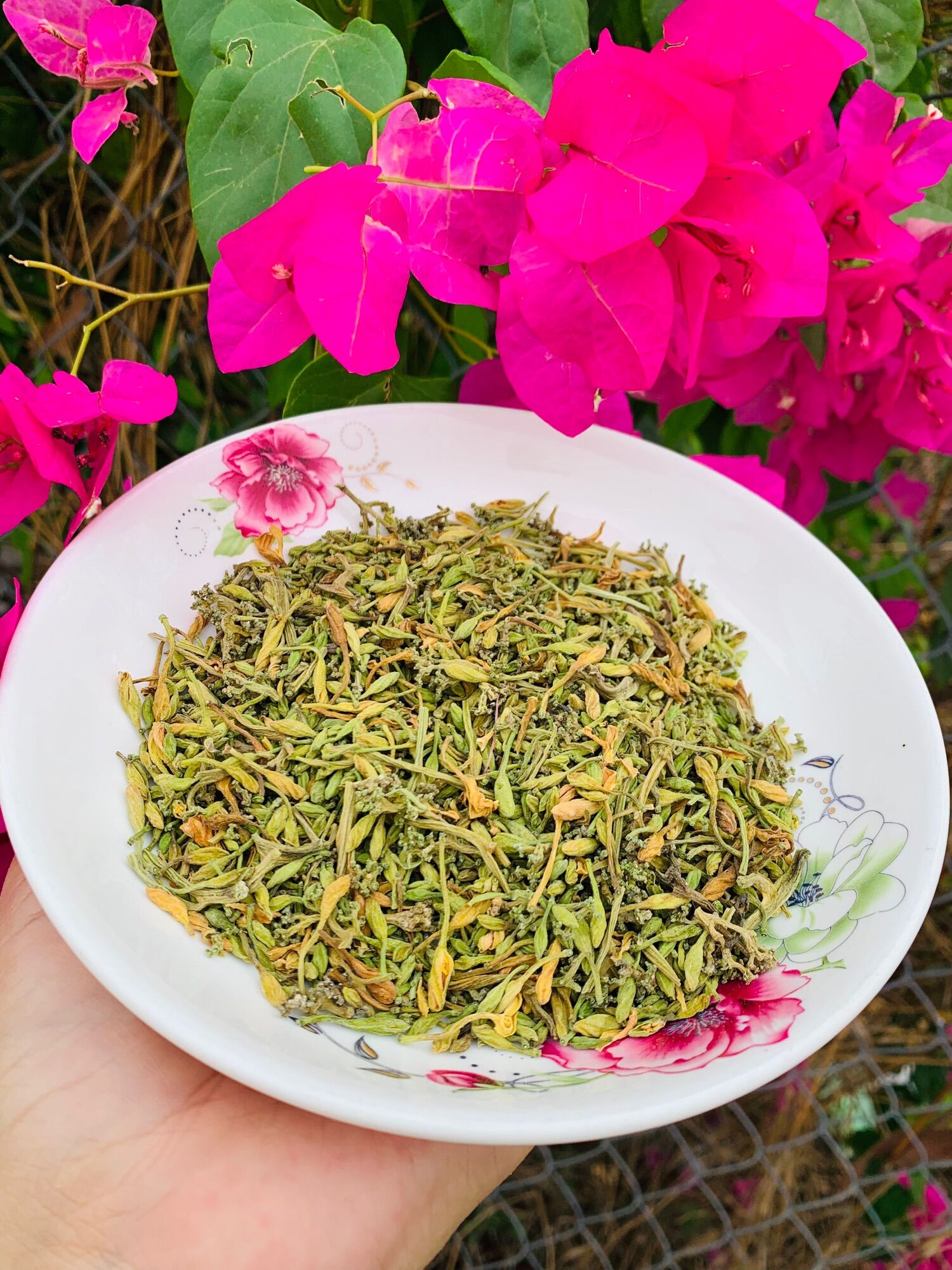 Hoa đu đủ sấy khô 100g-500g-1kg