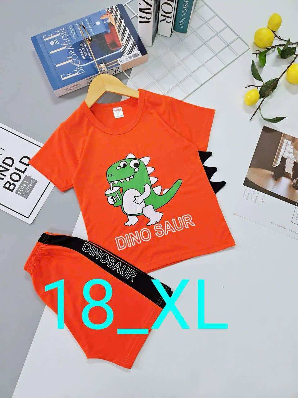 (Hcm). BỘ COTTON BÉ TRAI 6-15KG (HOẠ TIẾT NGẪU NHIÊN)