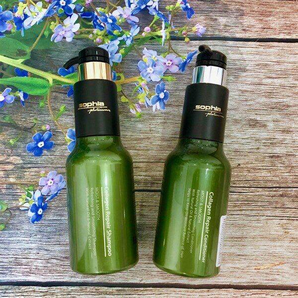 Dầu gội sophia 500ml