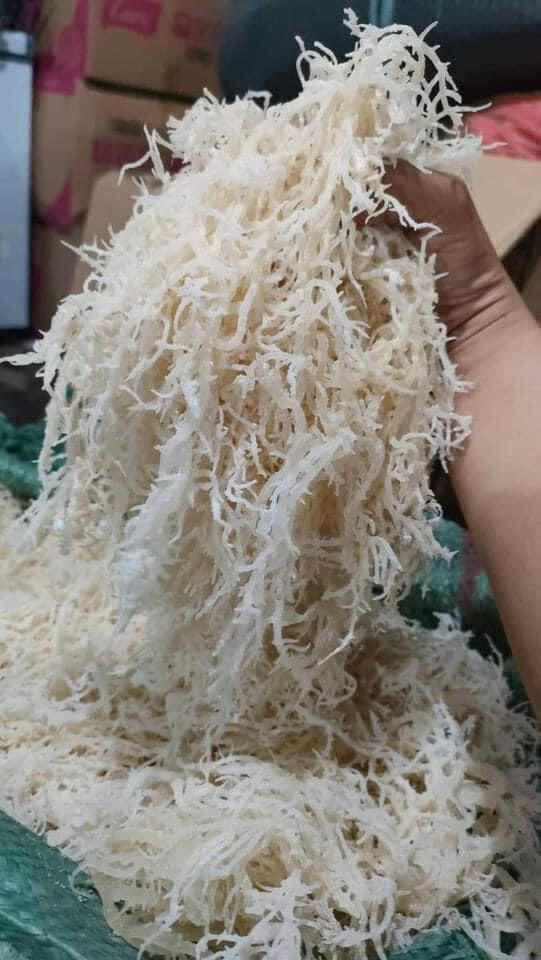 Rong sụn biển 1kg