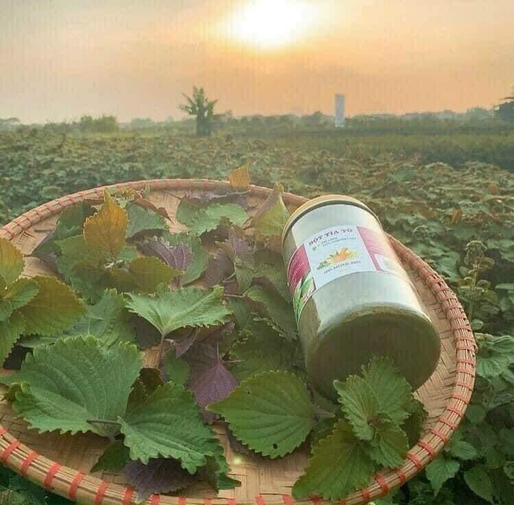 BỘT TÍA TÔ SẤY LẠNH 500g
