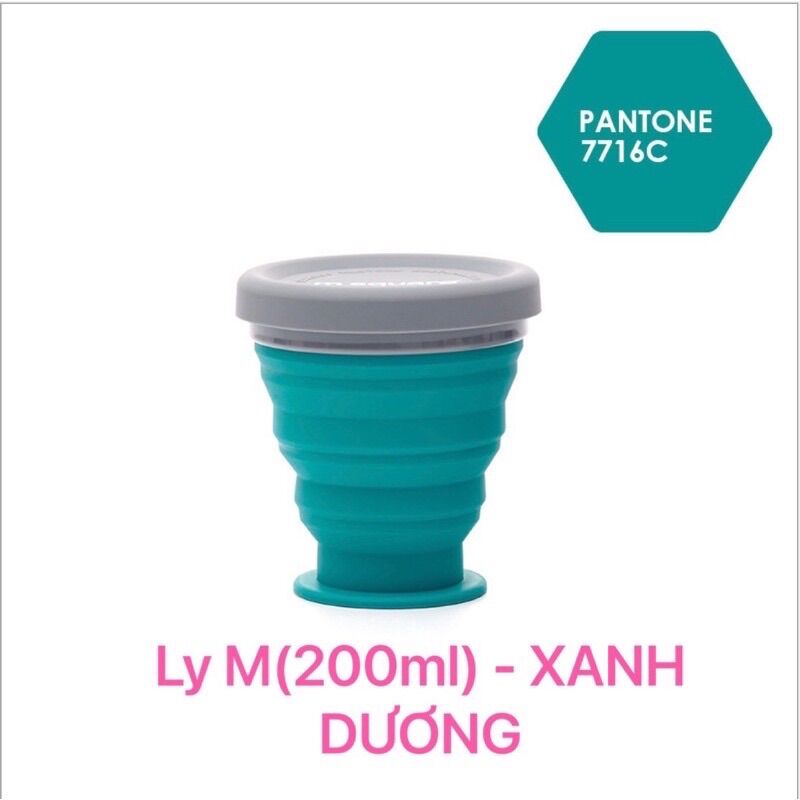 Ly gấp gọn Msquare M.