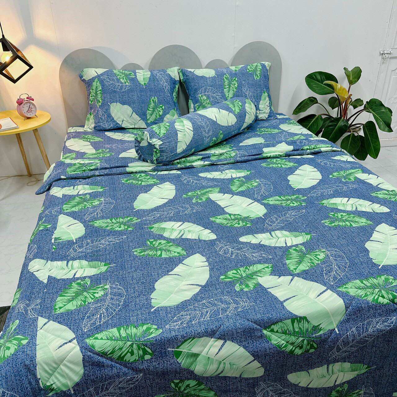 Set 5 chăn drap áo gối thun lạnh hàn quốc