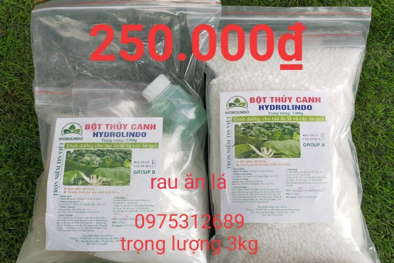 bột thủy canh cho rau ăn lá