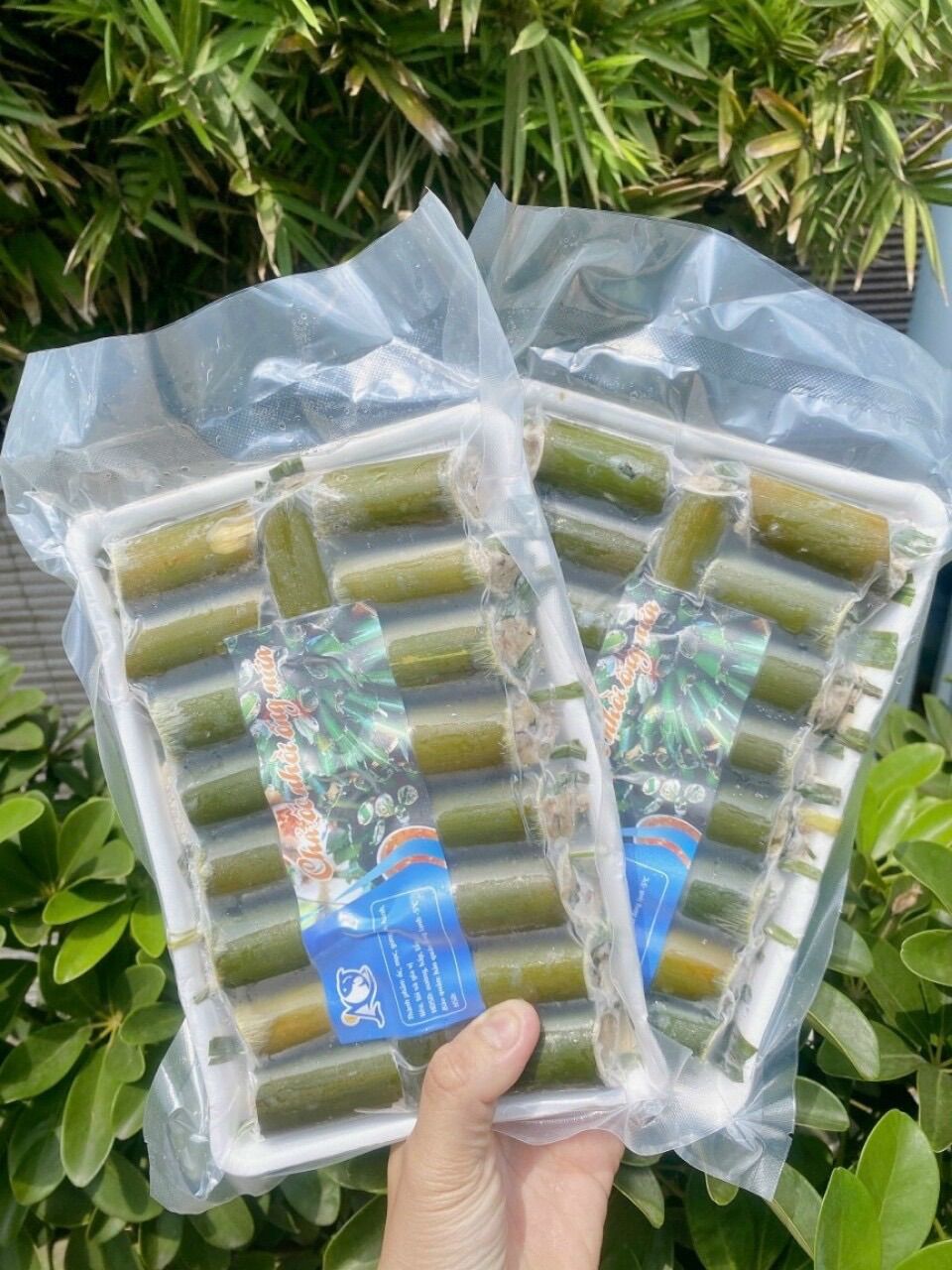 Ốc nhồi ống nứa (20 ống)- Đặc sản Tây Bắc (hoả tốc 2h Tphcm)