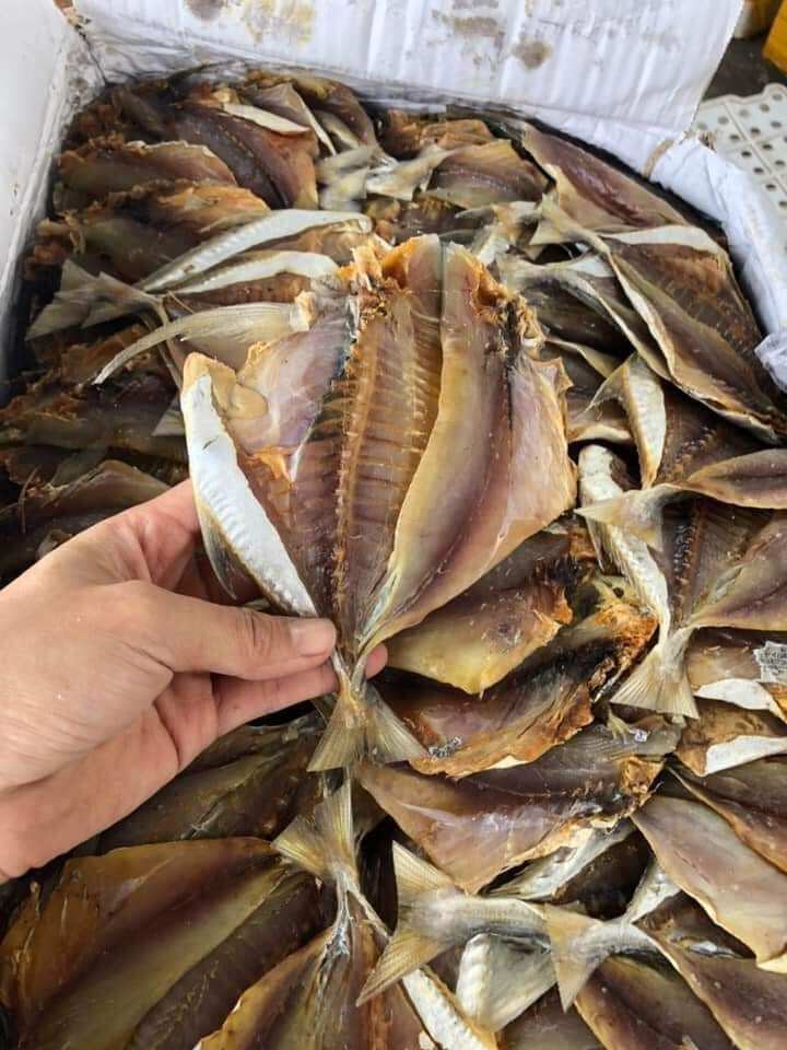 1kg cá chim biển khô