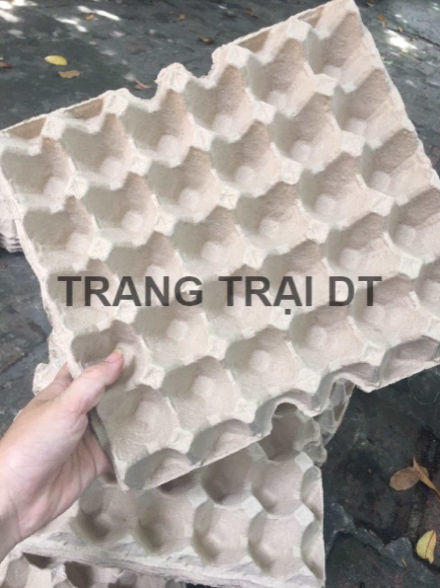 10 Vỉ giấy đựng trứng gà khay trứng giấy Hàng Mới Cứng (Hàng VN) dùng trang trí đựng trứng tô màu tr