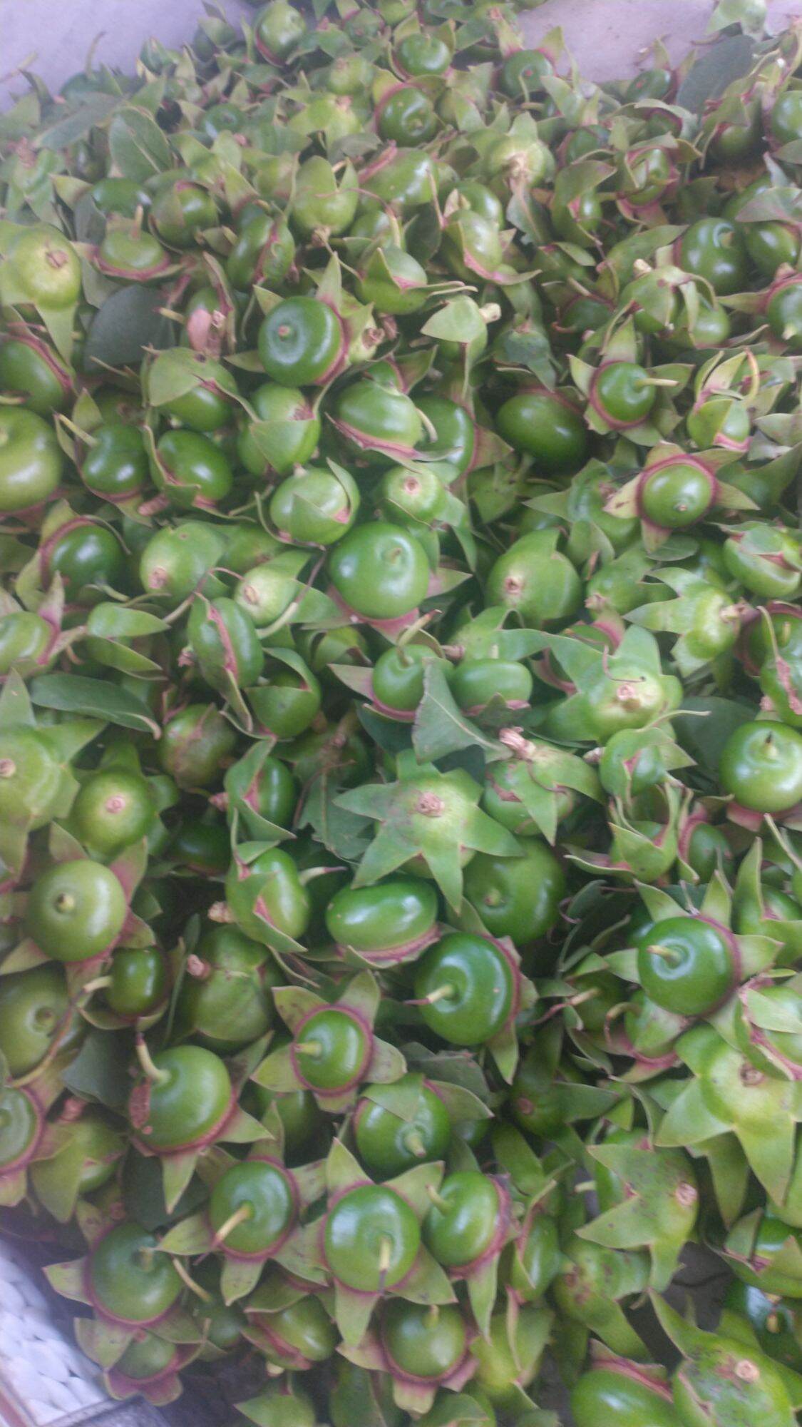 2kg quả bần chua. 0975449688