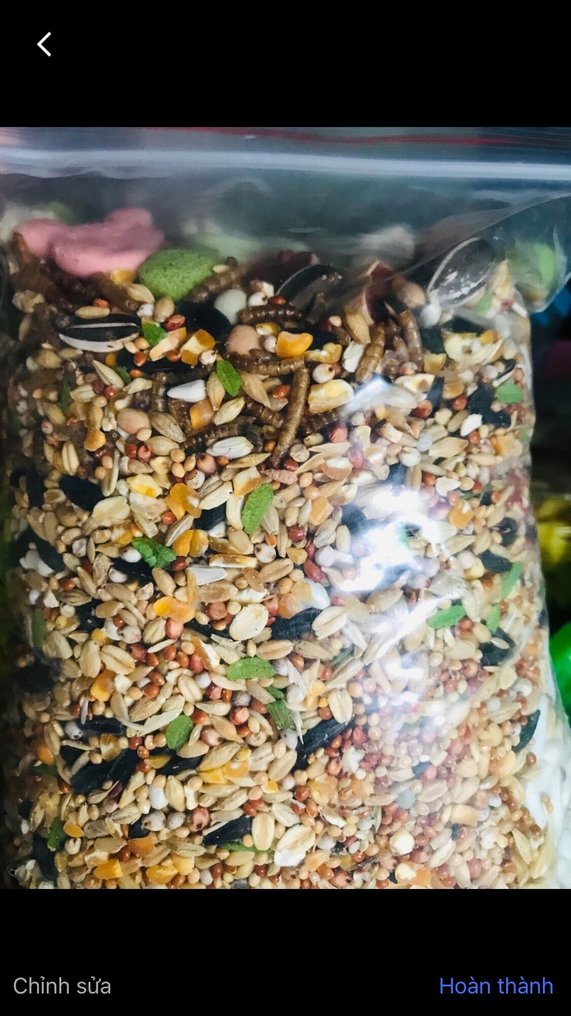 800g Thức ăn đặc biệt cho Hamster hơn 30 thành phần