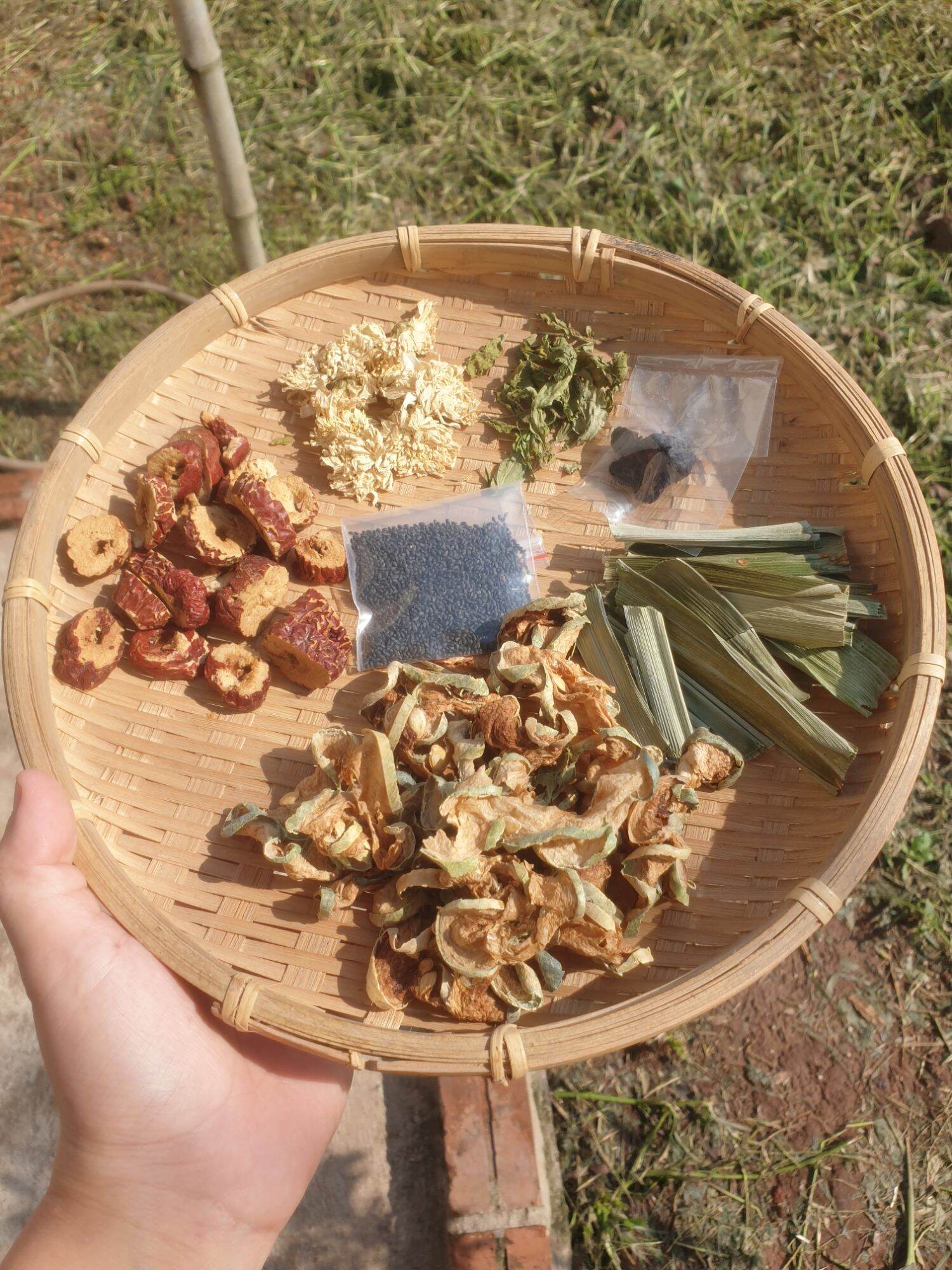 Trà Sâm Bí Đao Hồng Sâm