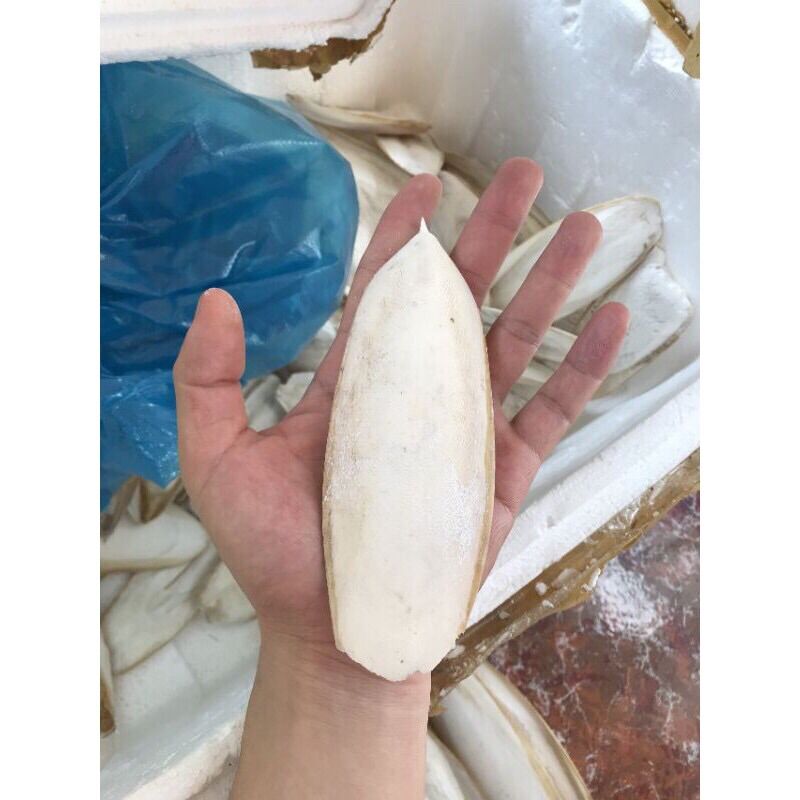 Nang mực chuẩn tự nhiên