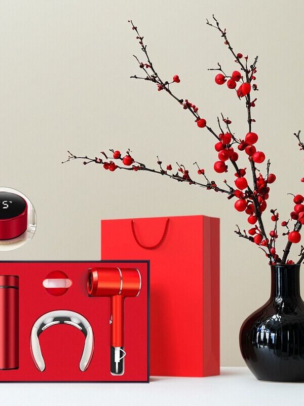 ZHUOLESHI | Business Gift Set with Custom Logo Hair Dryer Giá 578,000 Đồng*Miễn phí vận chuyển