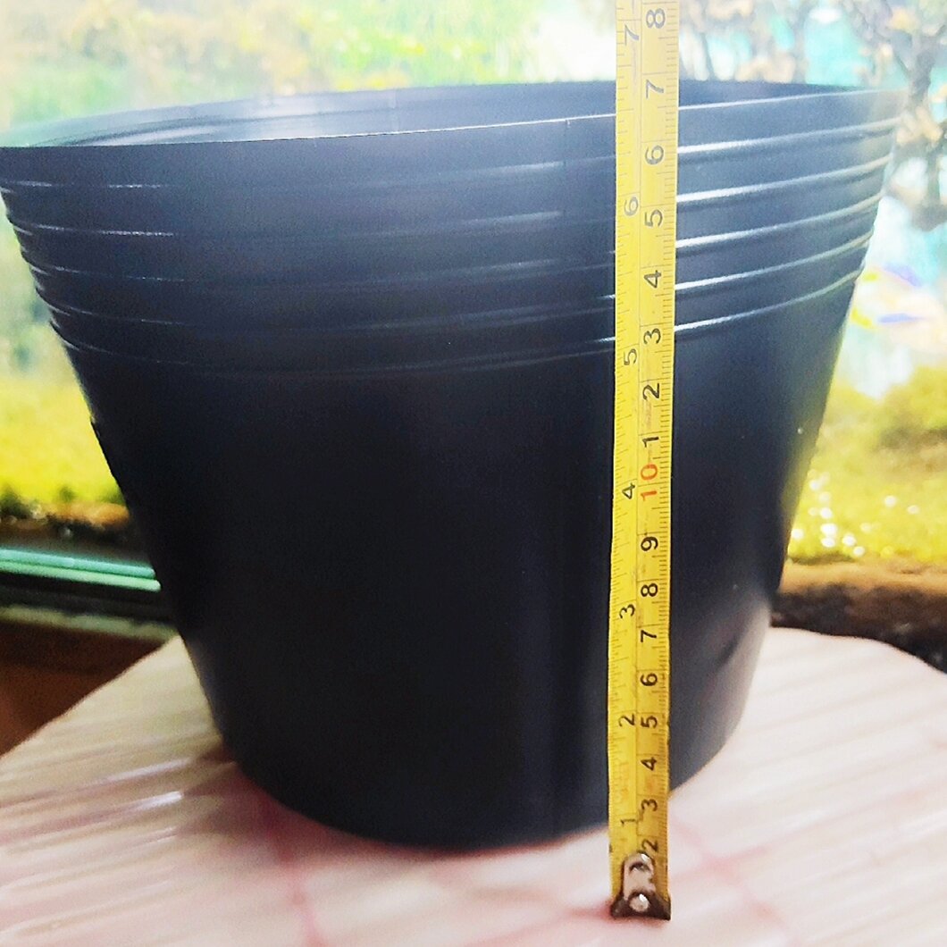 Chậu Nhựa Đen Không Lỗ 20x17cm