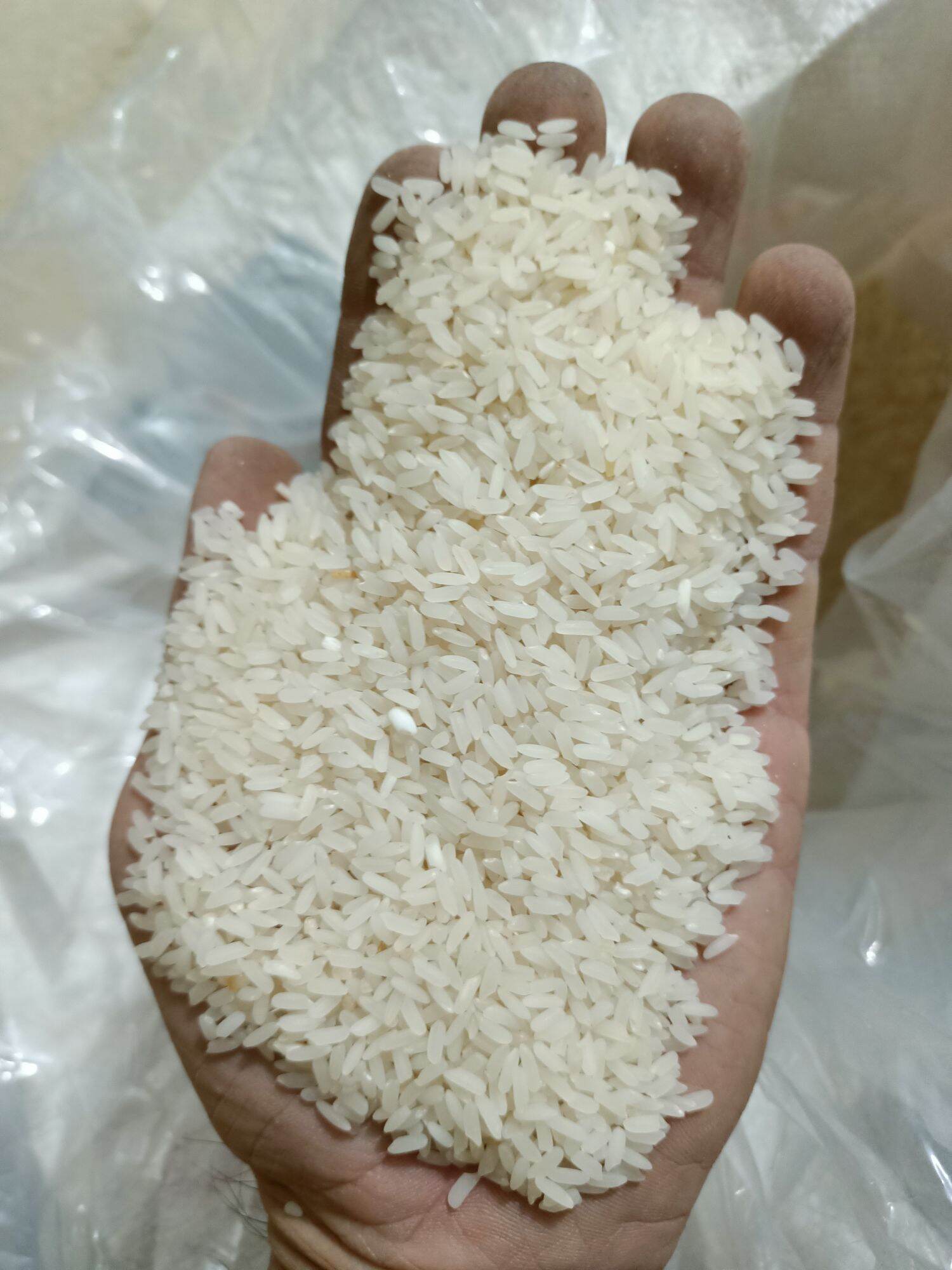 gạo tám xoan ( chuẩn gạo tám quê)