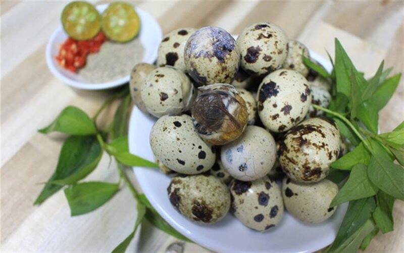 50 trứng cút lộn nhà nuôi SẠCH