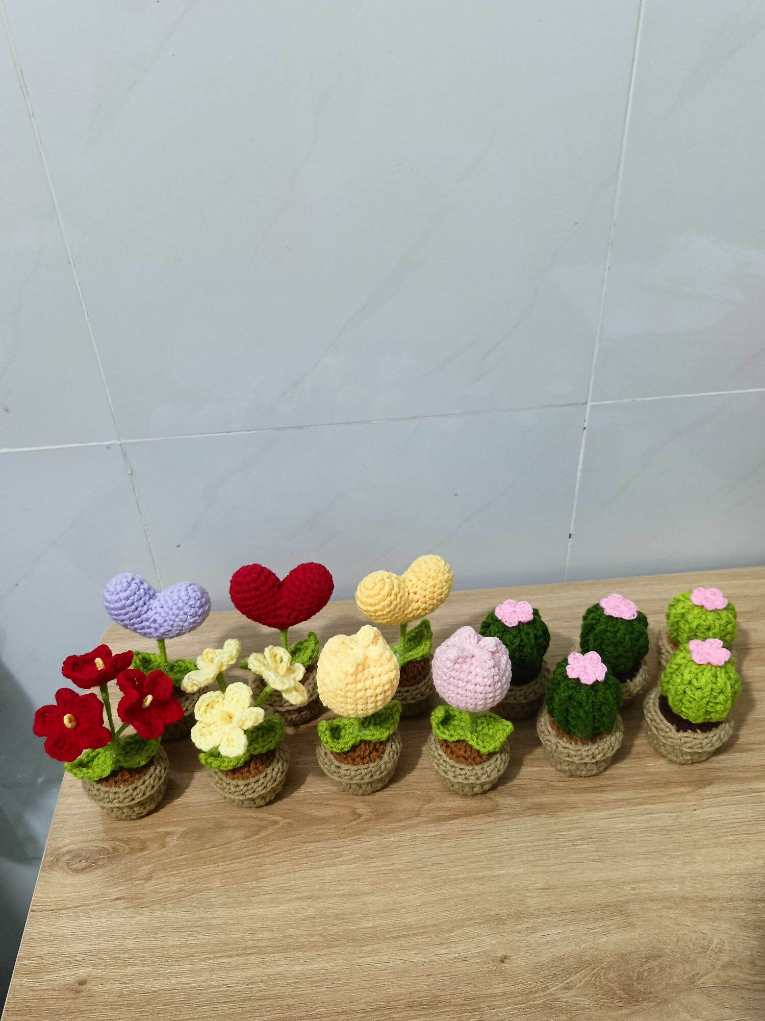 Chậu hoa mini xinh xắn