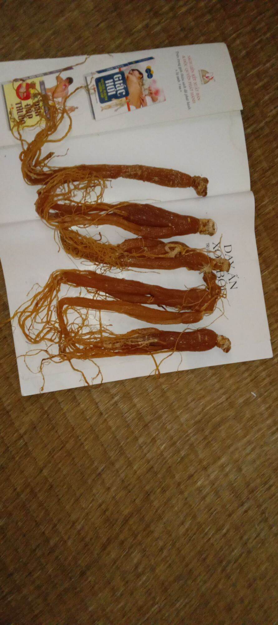 Nhân Sâm khô Hàn Quốc