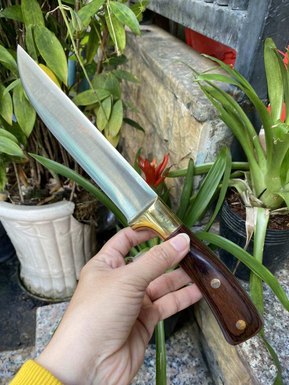 dao thái lọc nhật TAKAYUKI