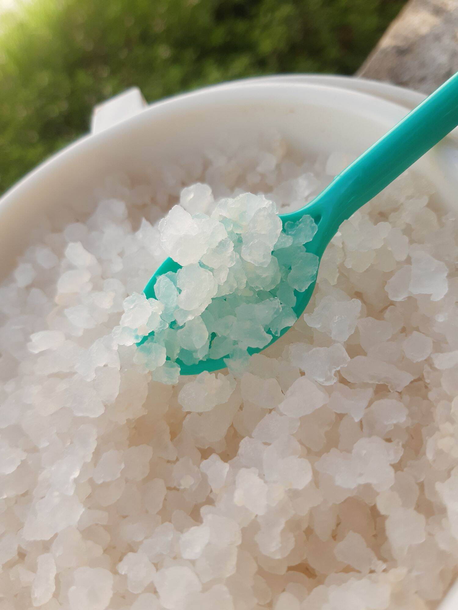 nấm nước  water kefir thuần dừa ( 55k/phần 20gr)