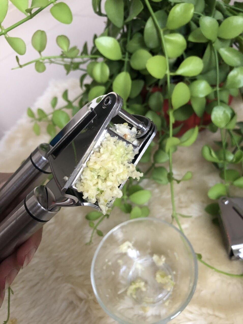 Kaisho Japan Garlic Press