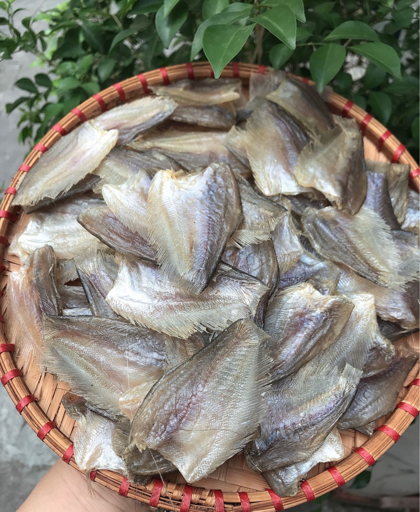 KHÔ SẶC Bướm  VỊ VỪA ĂN KHÔNG MẶN