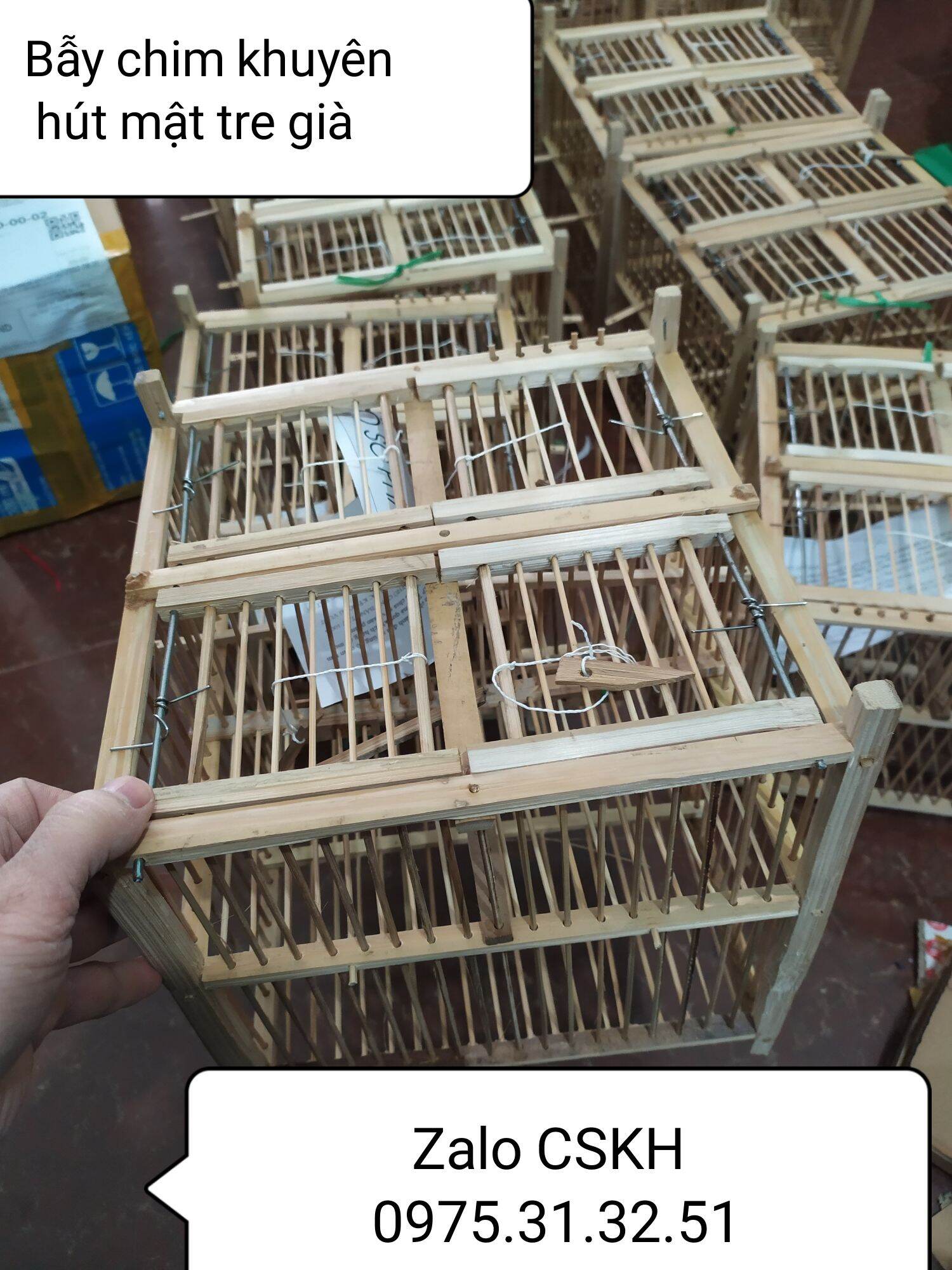 bẫy 4 sập chim vành khuyên hút mật ốc mít