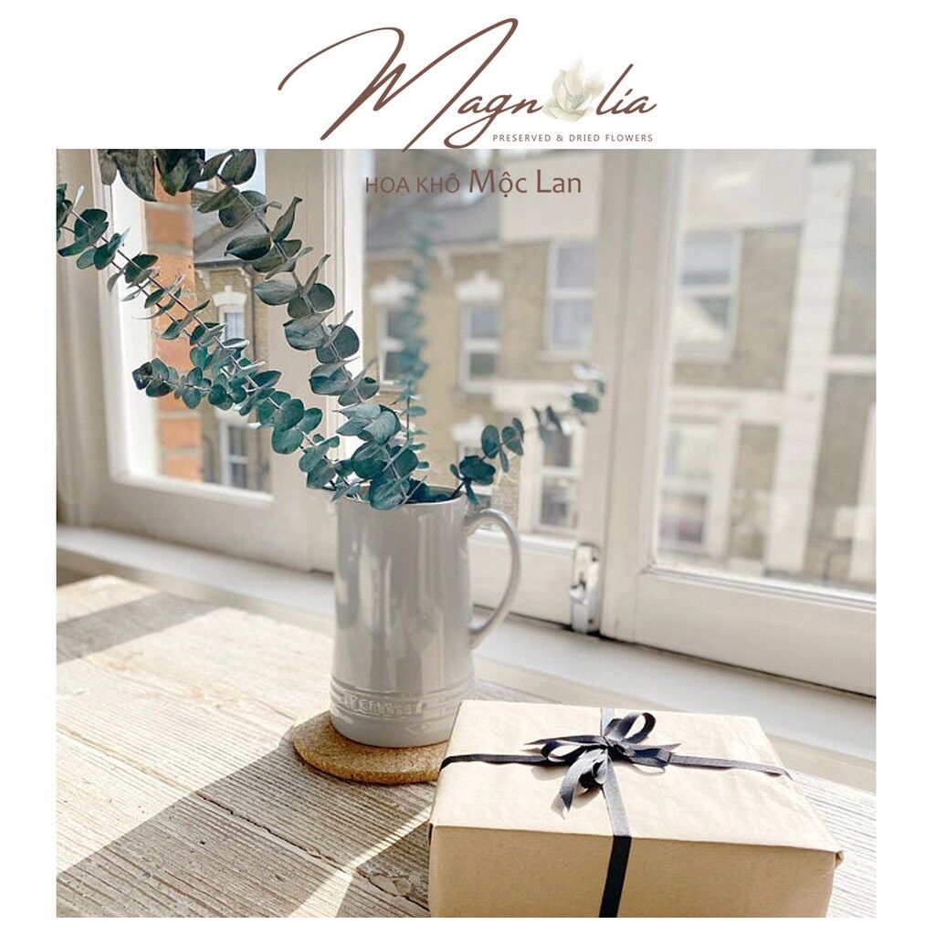 Cành lá khuynh diệp khô Eucalyptus ❤️FREESHIP❤️ Hoa giả trang trí để bàn, kệ sách, decor vintage